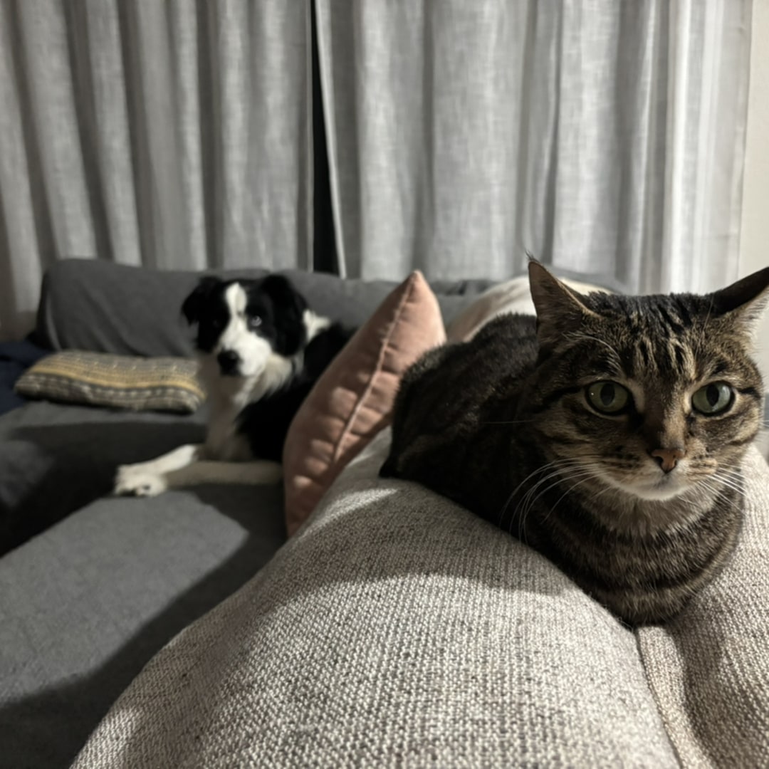 Photo shared by Hannah for their Babylist baby registry.