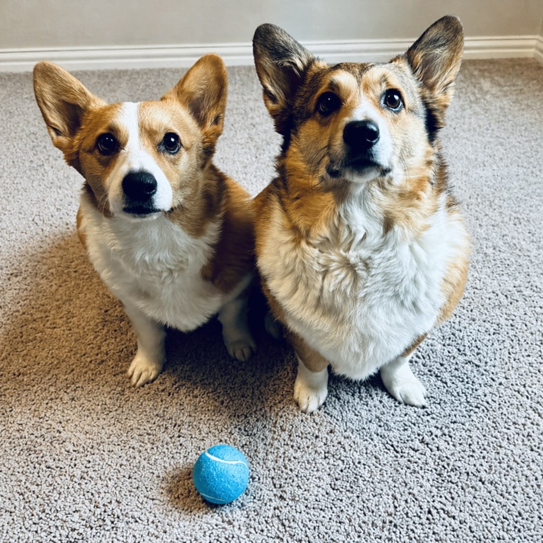 Photo shared by Kalee for their Babylist baby registry.