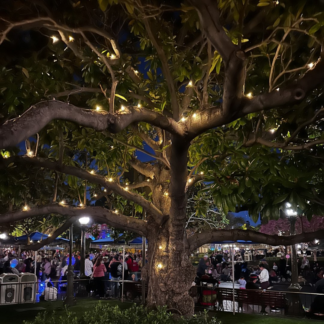 Photo shared by Elisa for their Babylist baby registry.