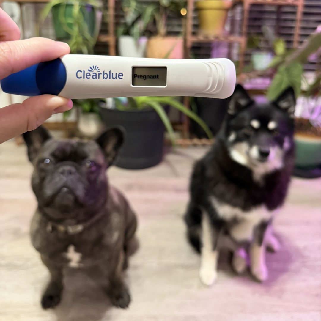 Photo shared by Alyssa for their Babylist baby registry.