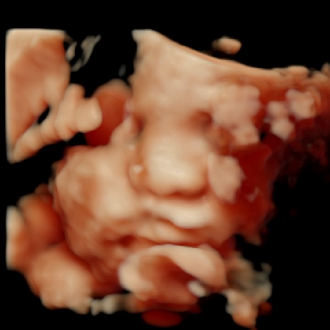 Photo shared by Luz for their Babylist baby registry.