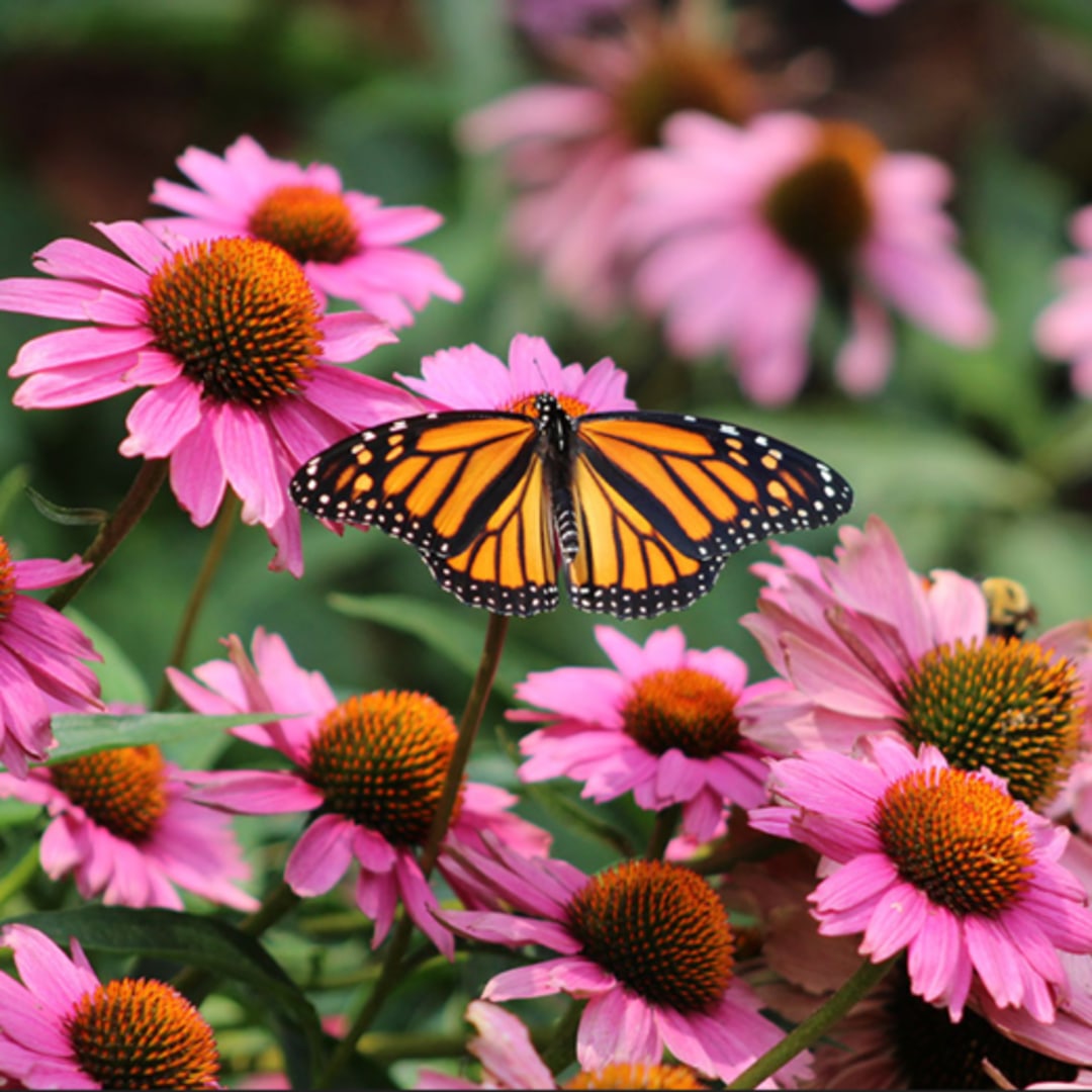 Photo shared by Tavia for their Babylist baby registry.