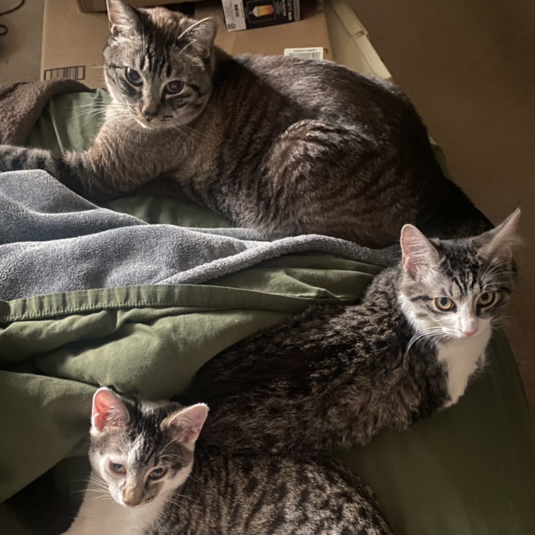 Photo shared by Kayla for their Babylist baby registry.