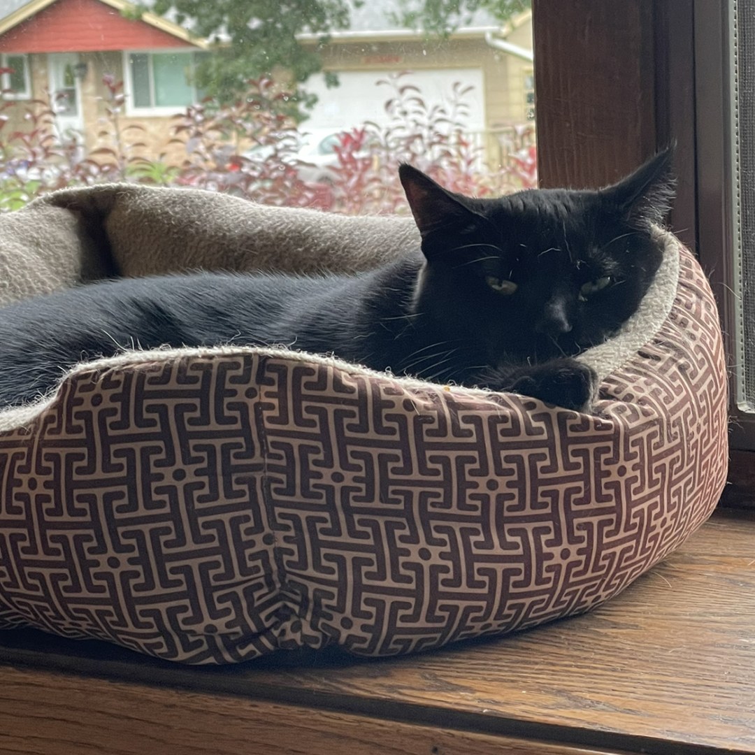 Photo shared by Anna for their Babylist baby registry.