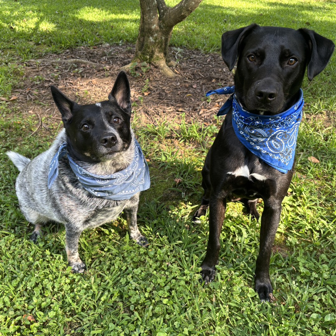 Photo shared by Stephanie for their Babylist baby registry.