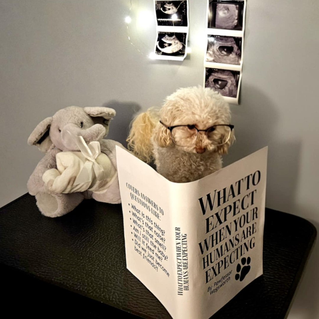 Photo shared by Daniela for their Babylist baby registry.