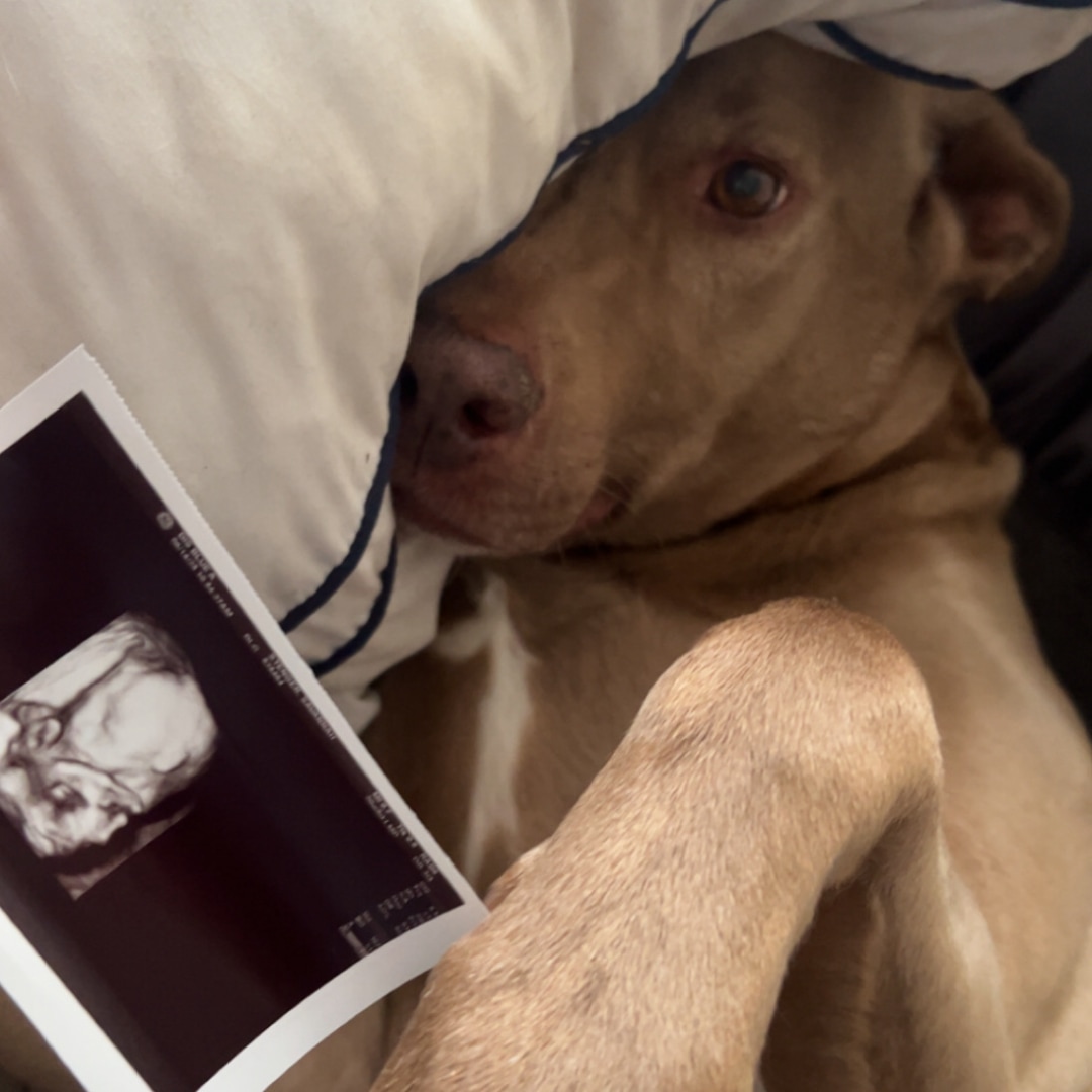 Photo shared by Savannah for their Babylist baby registry.