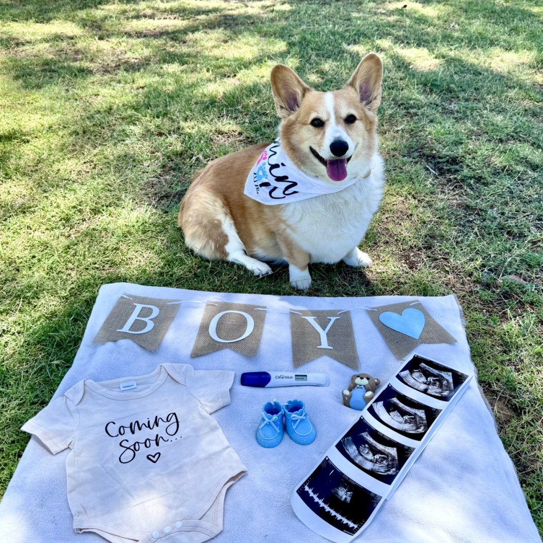Photo shared by Elizabeth for their Babylist baby registry.