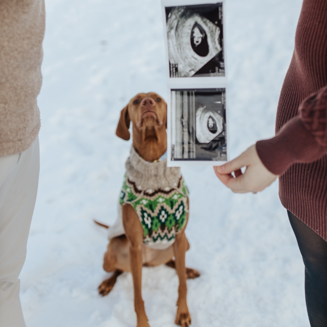 Photo shared by Tara for their Babylist baby registry.