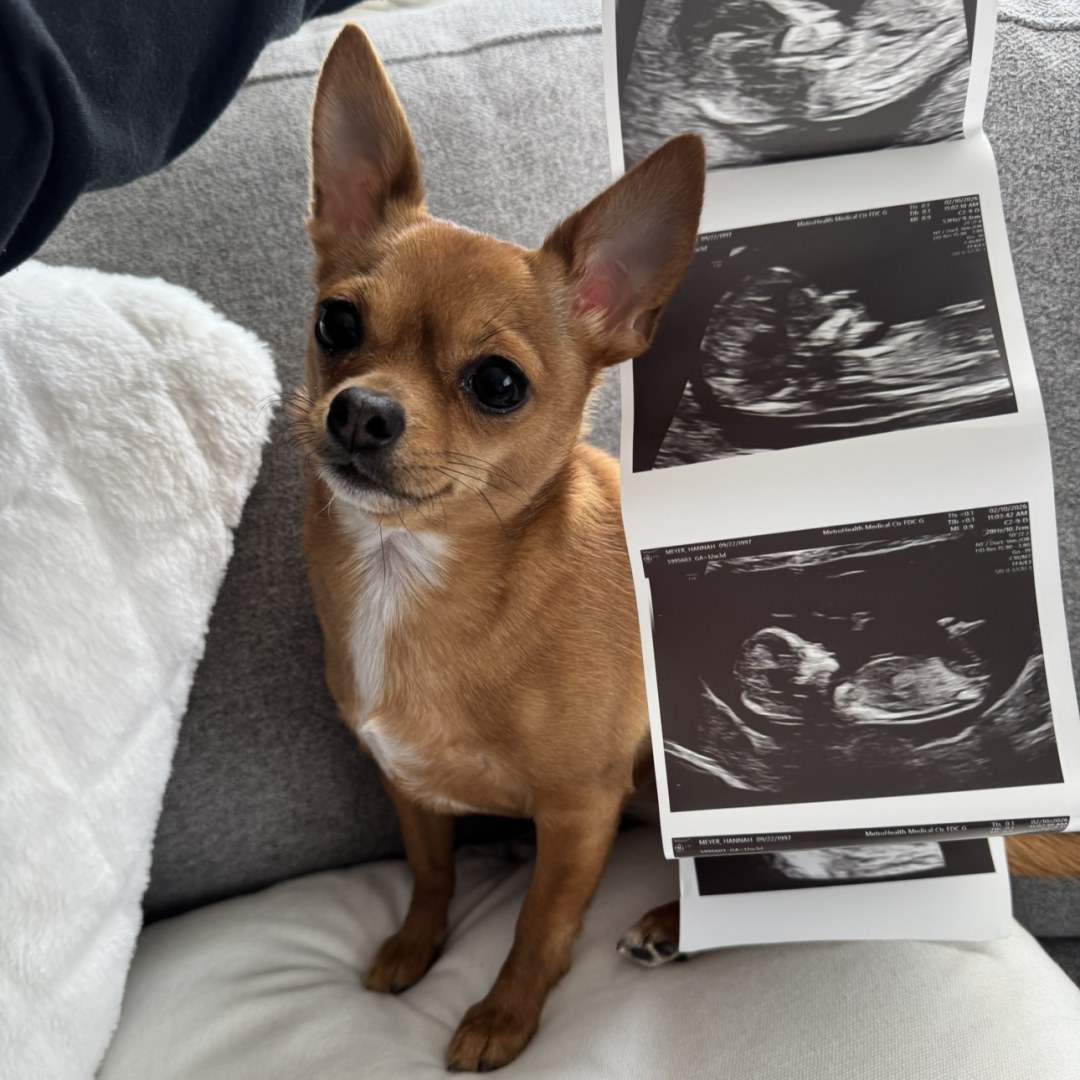 Photo shared by Hannah for their Babylist baby registry.