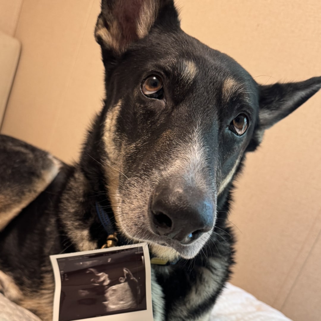 Photo shared by Bailey for their Babylist baby registry.