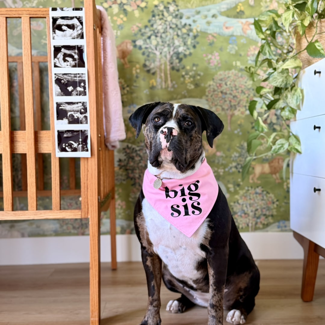 Photo shared by McKaela for their Babylist baby registry.