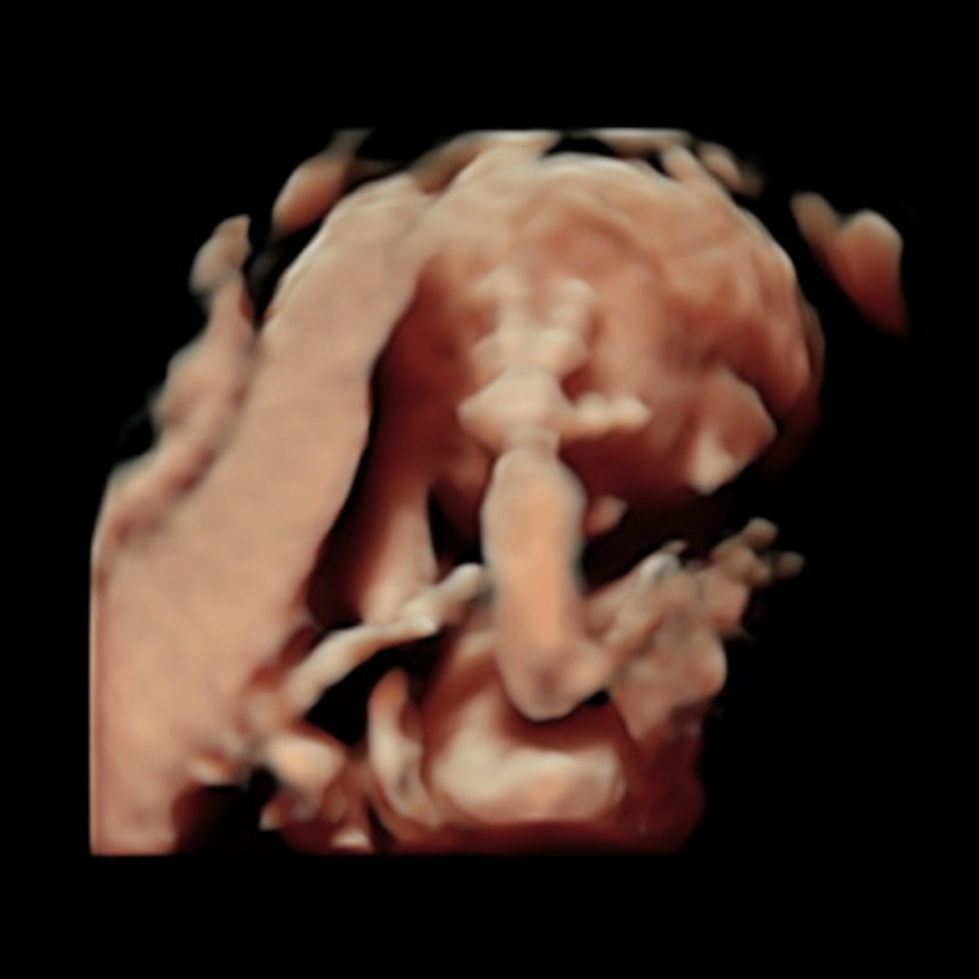 Photo shared by Alan for their Babylist baby registry.