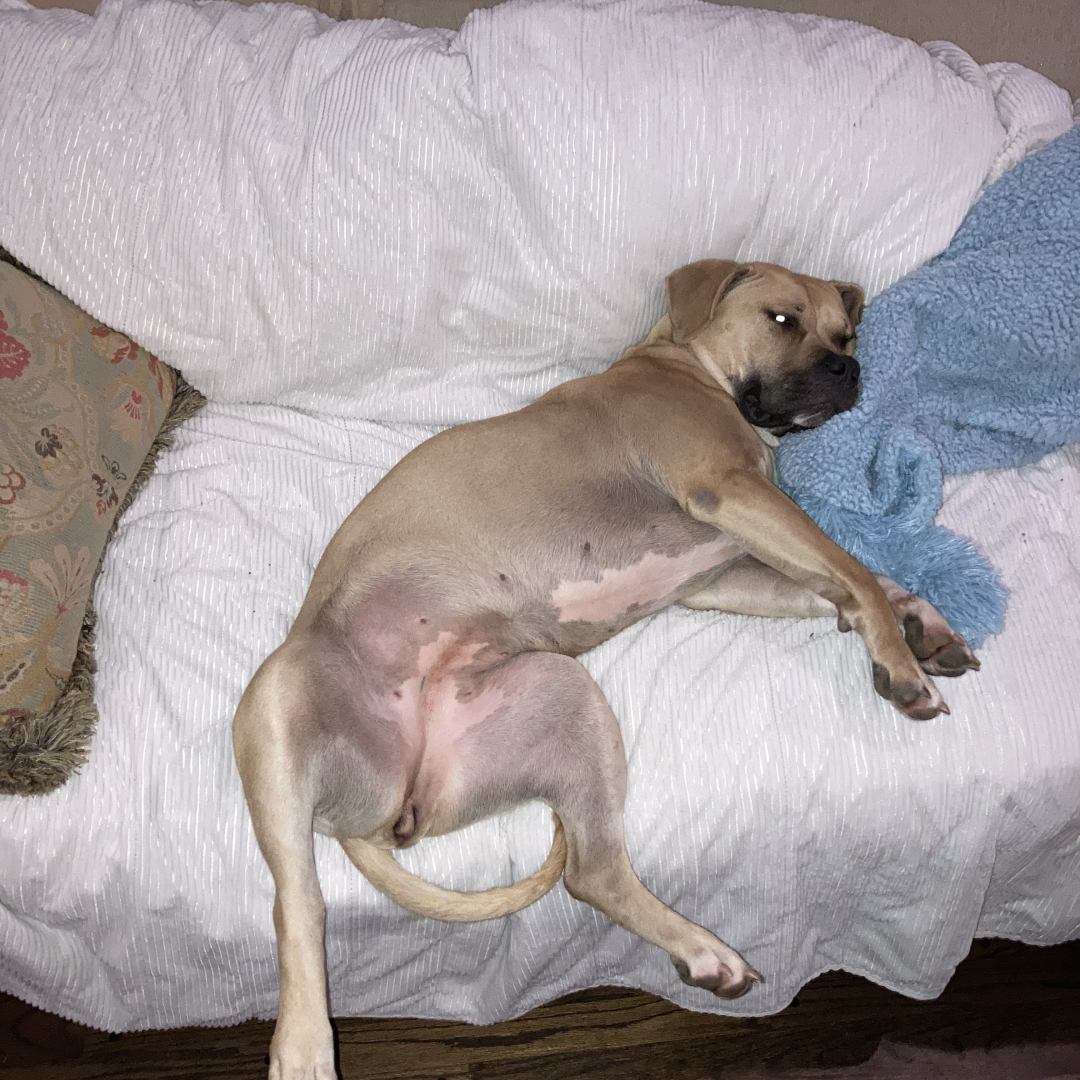 Photo shared by Tiffany for their Babylist baby registry.