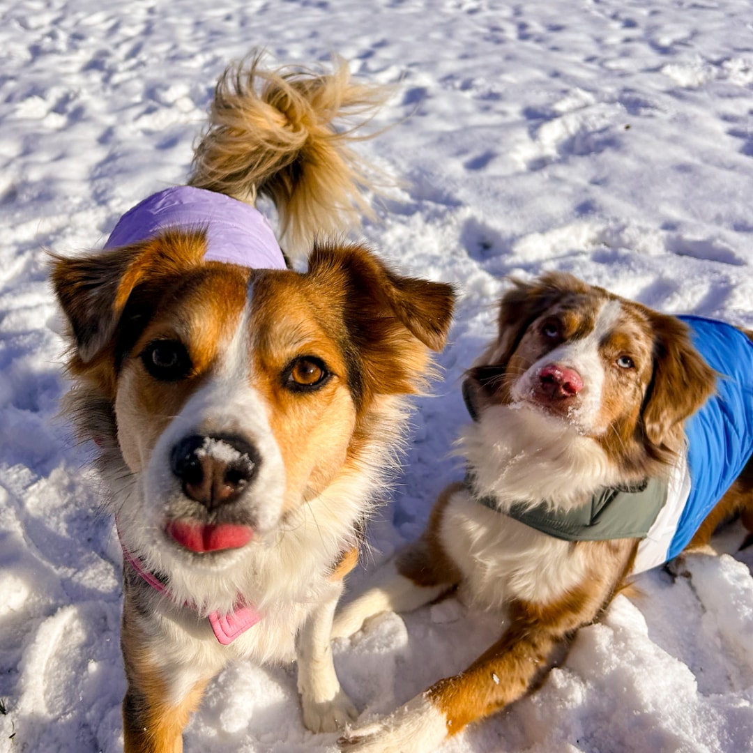 Photo shared by Sydney for their Babylist baby registry.