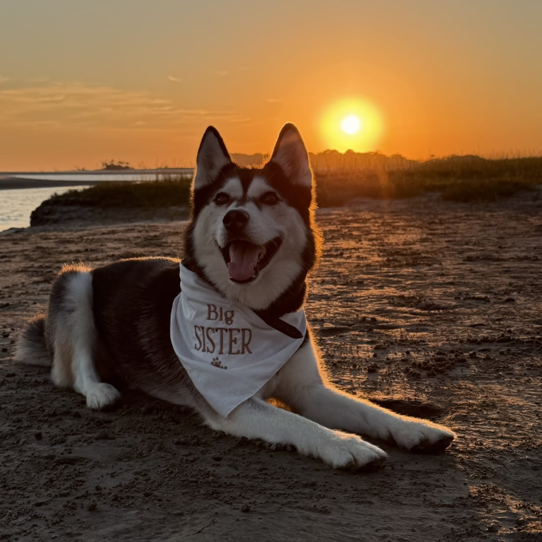 Photo shared by Kailla for their Babylist baby registry.