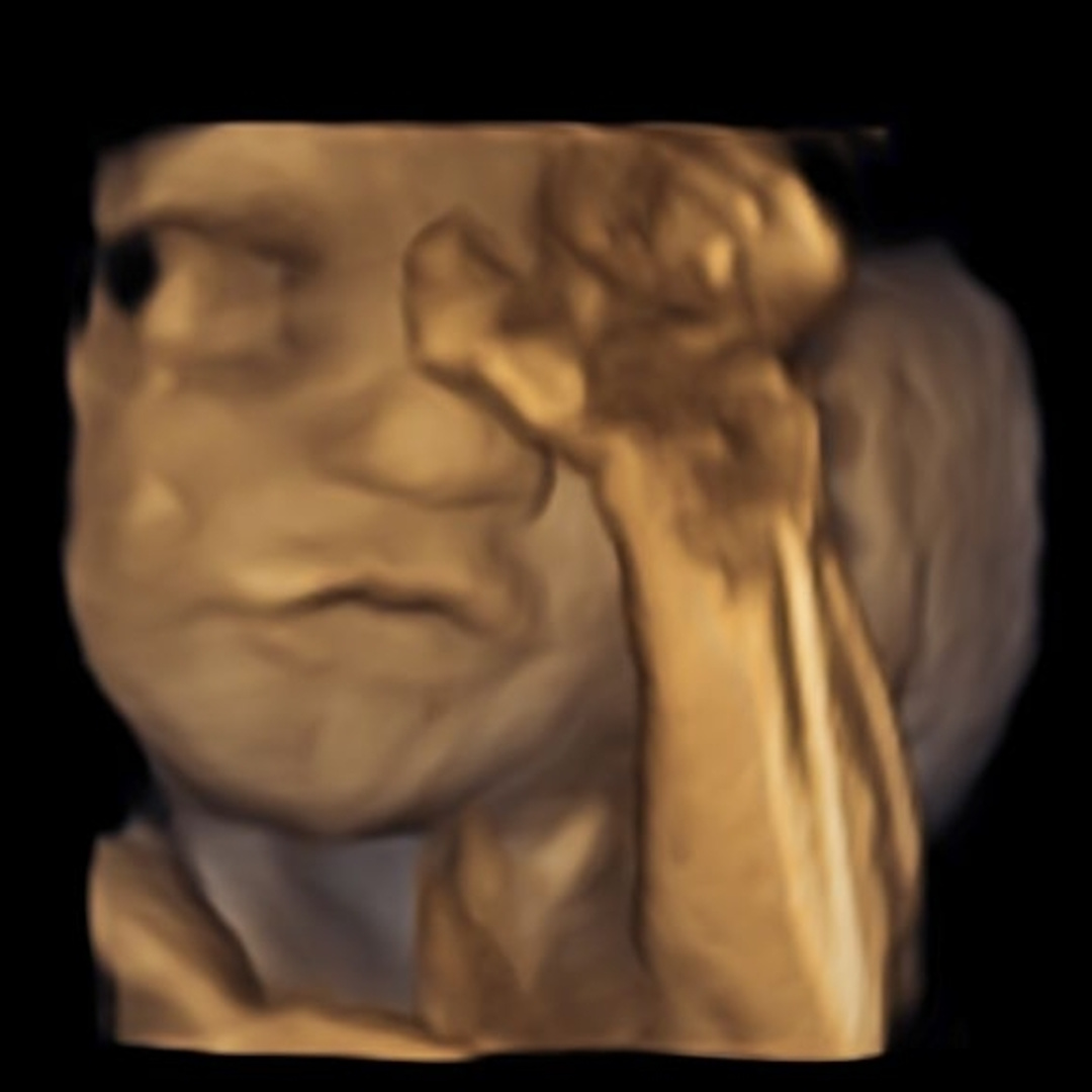 Photo shared by Alexandrea for their Babylist baby registry.