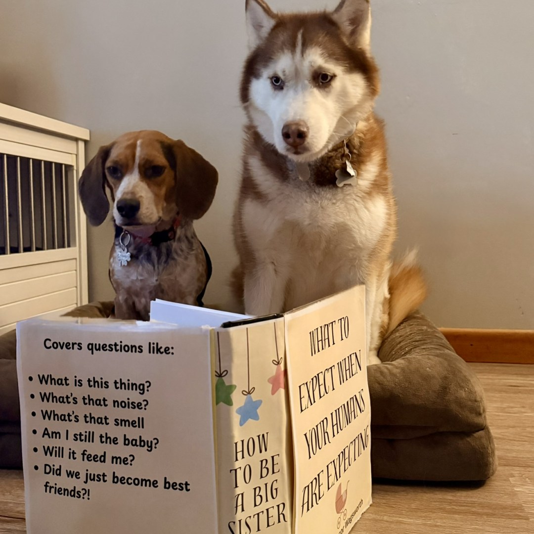 Photo shared by Katie for their Babylist baby registry.