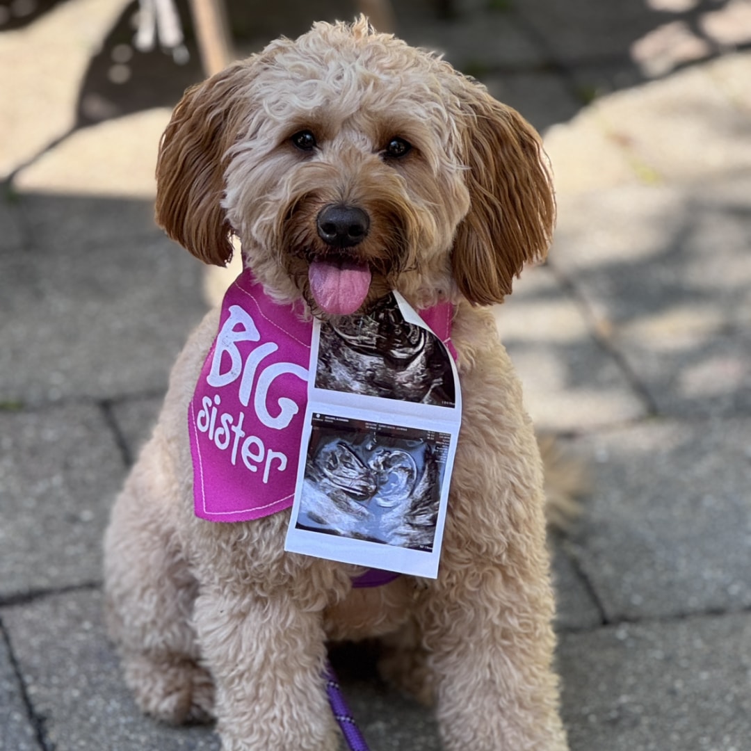 Photo shared by Alexandra for their Babylist baby registry.