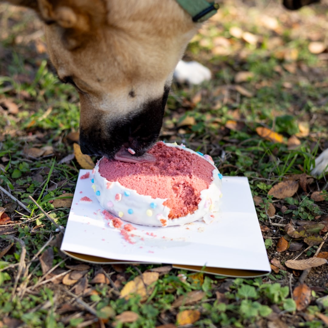 Photo shared by Bella for their Babylist baby registry.