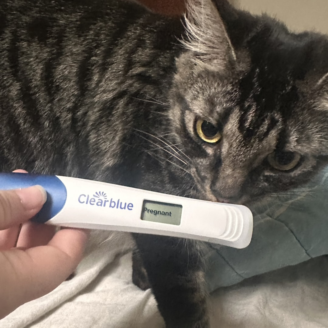 Photo shared by Abbie for their Babylist baby registry.