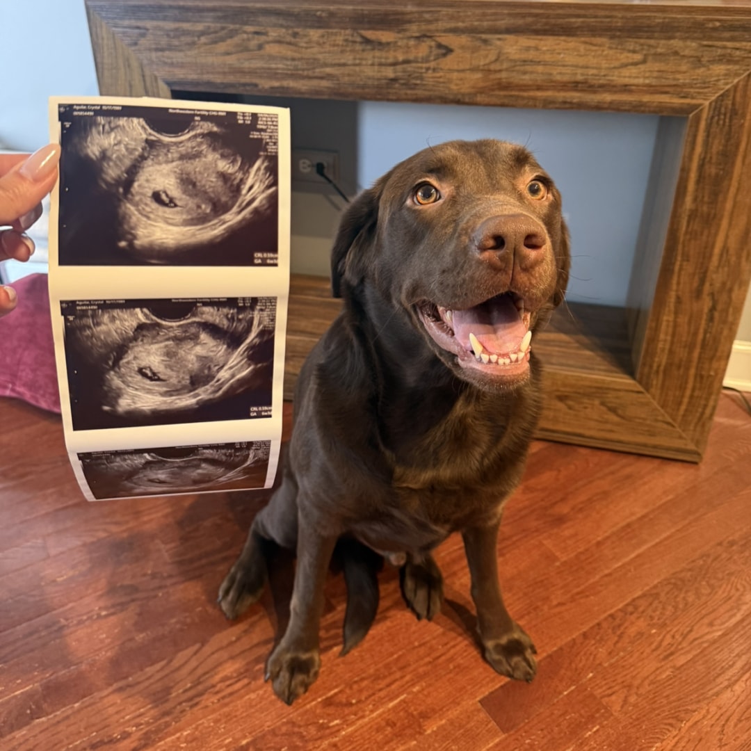 Photo shared by Crystal for their Babylist baby registry.