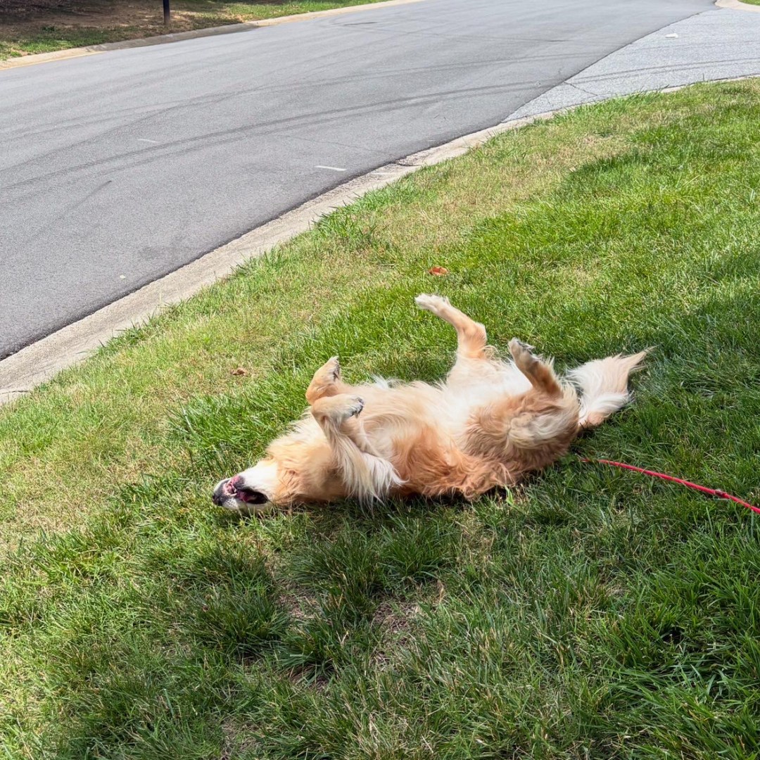 Photo shared by Christina for their Babylist baby registry.