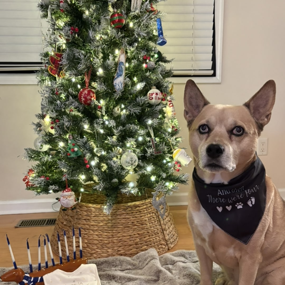 Photo shared by Lindsey for their Babylist baby registry.