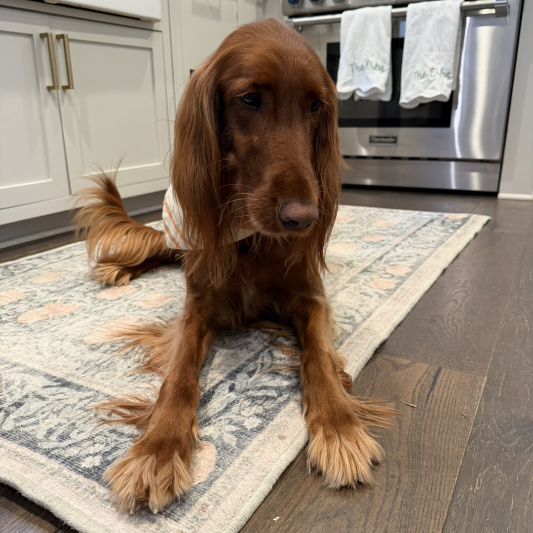 Photo shared by Rebecca for their Babylist baby registry.