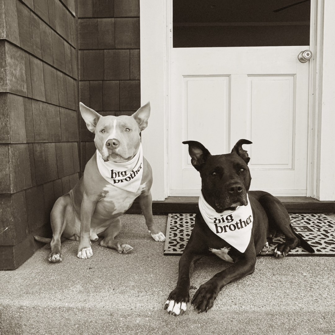 Photo shared by Jordyn for their Babylist baby registry.