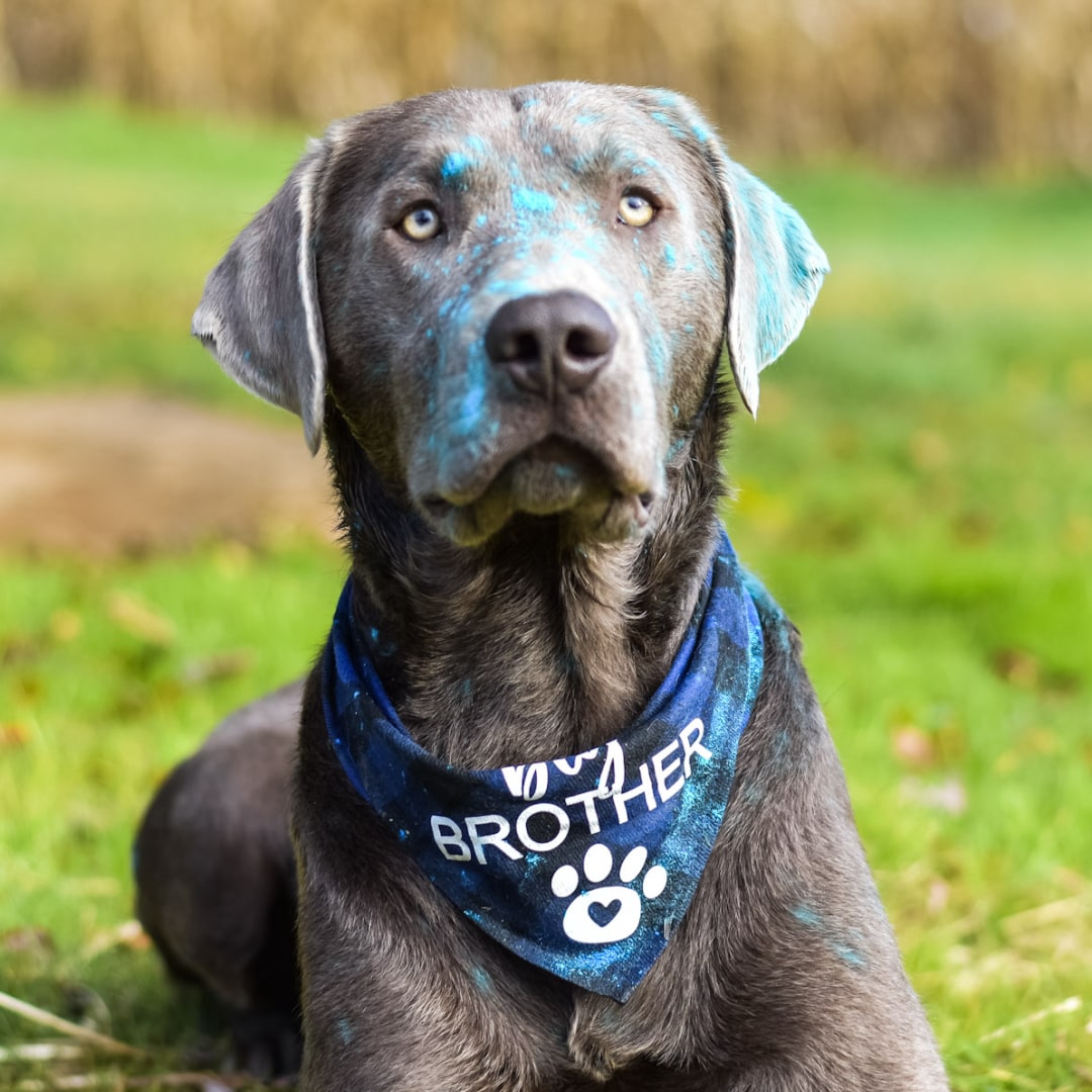 Photo shared by Alexis for their Babylist baby registry.