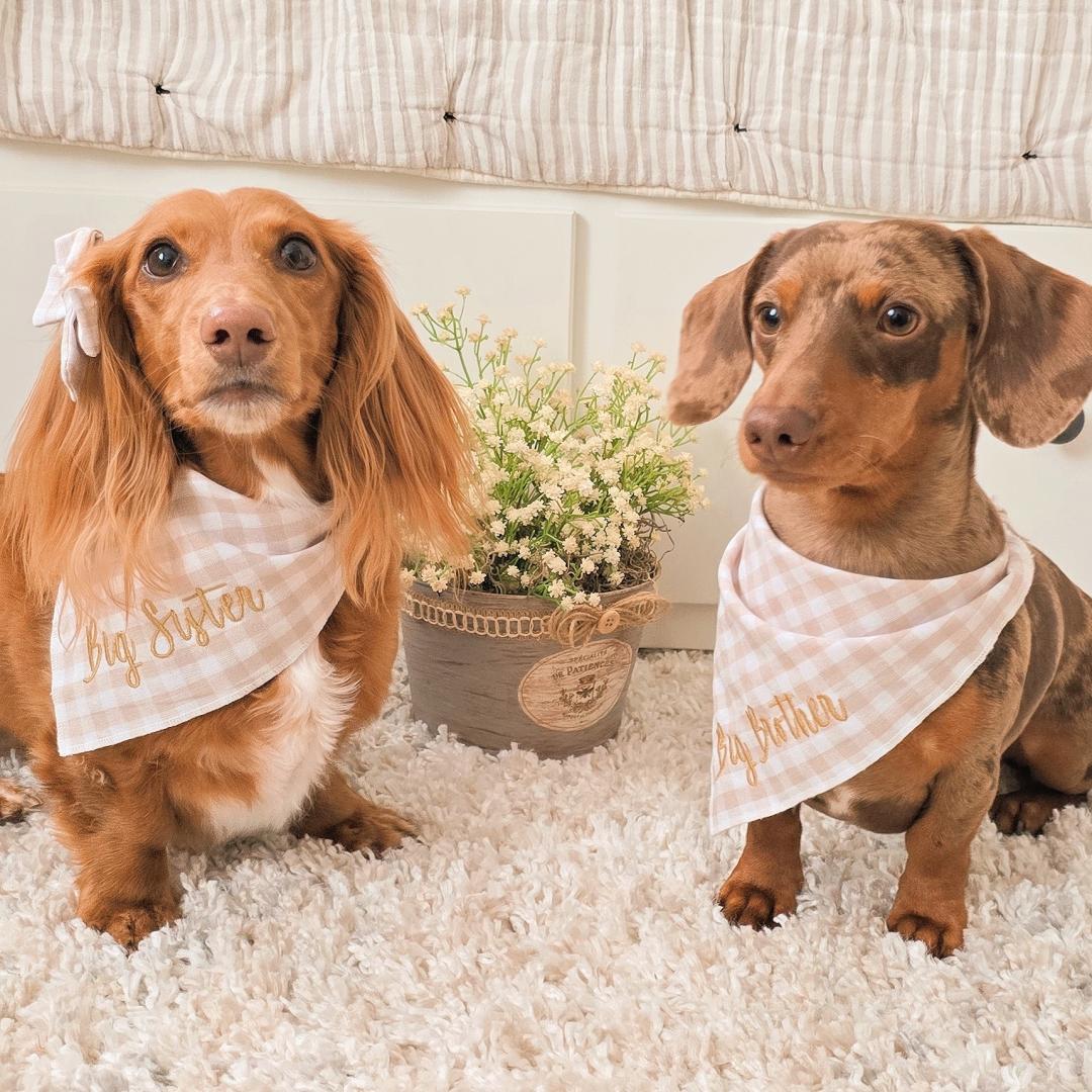 Photo shared by Angella for their Babylist baby registry.