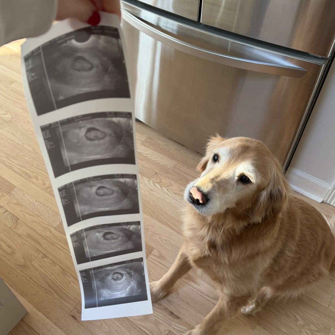 Photo shared by Brittany for their Babylist baby registry.