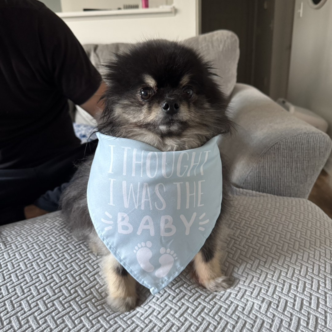 Photo shared by Erin for their Babylist baby registry.