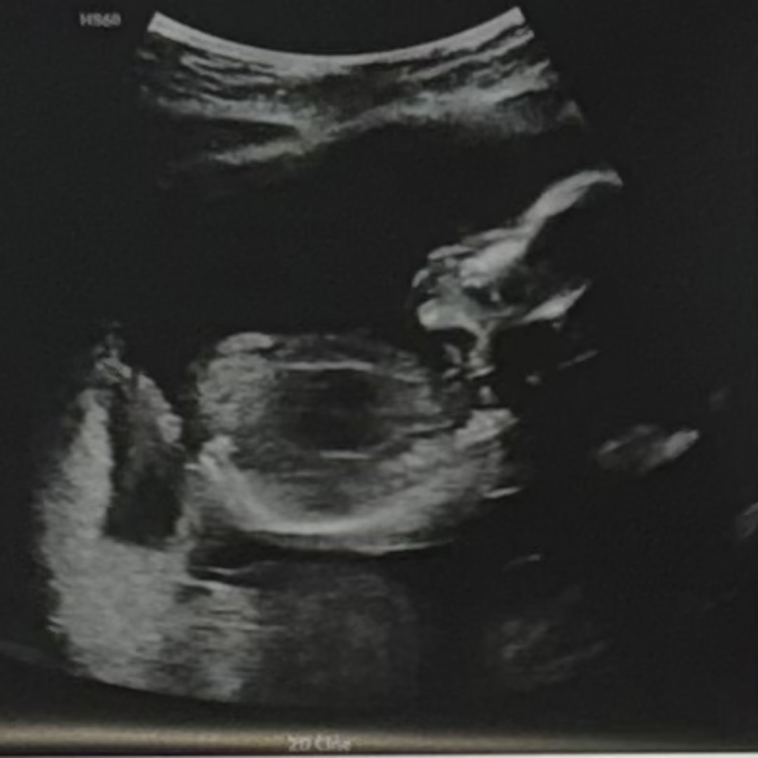 Photo shared by Shania for their Babylist baby registry.