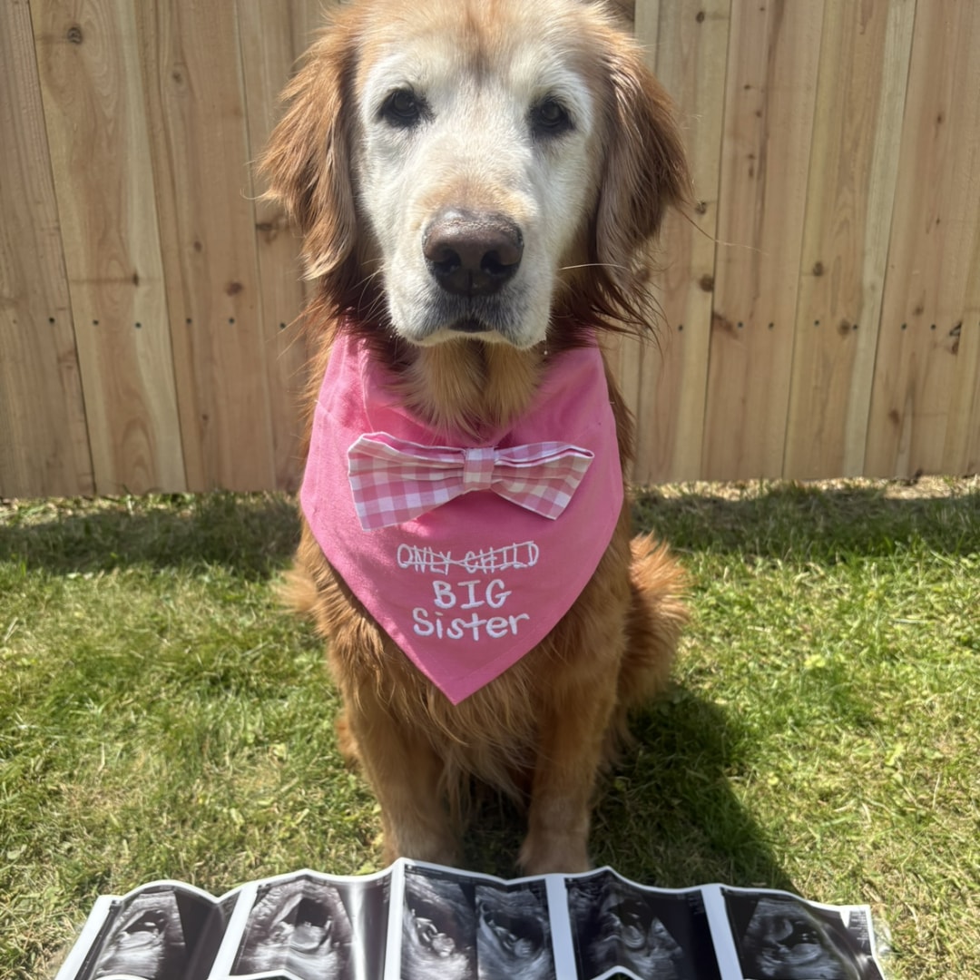 Photo shared by Megan for their Babylist baby registry.