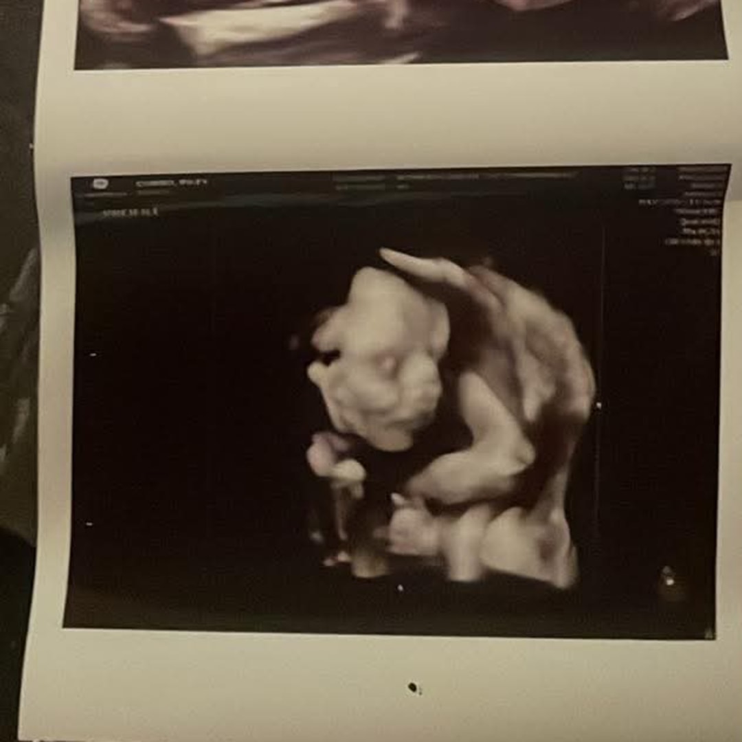 Photo shared by Riley for their Babylist baby registry.