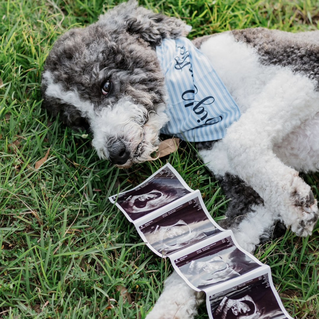 Photo shared by Katelynn for their Babylist baby registry.
