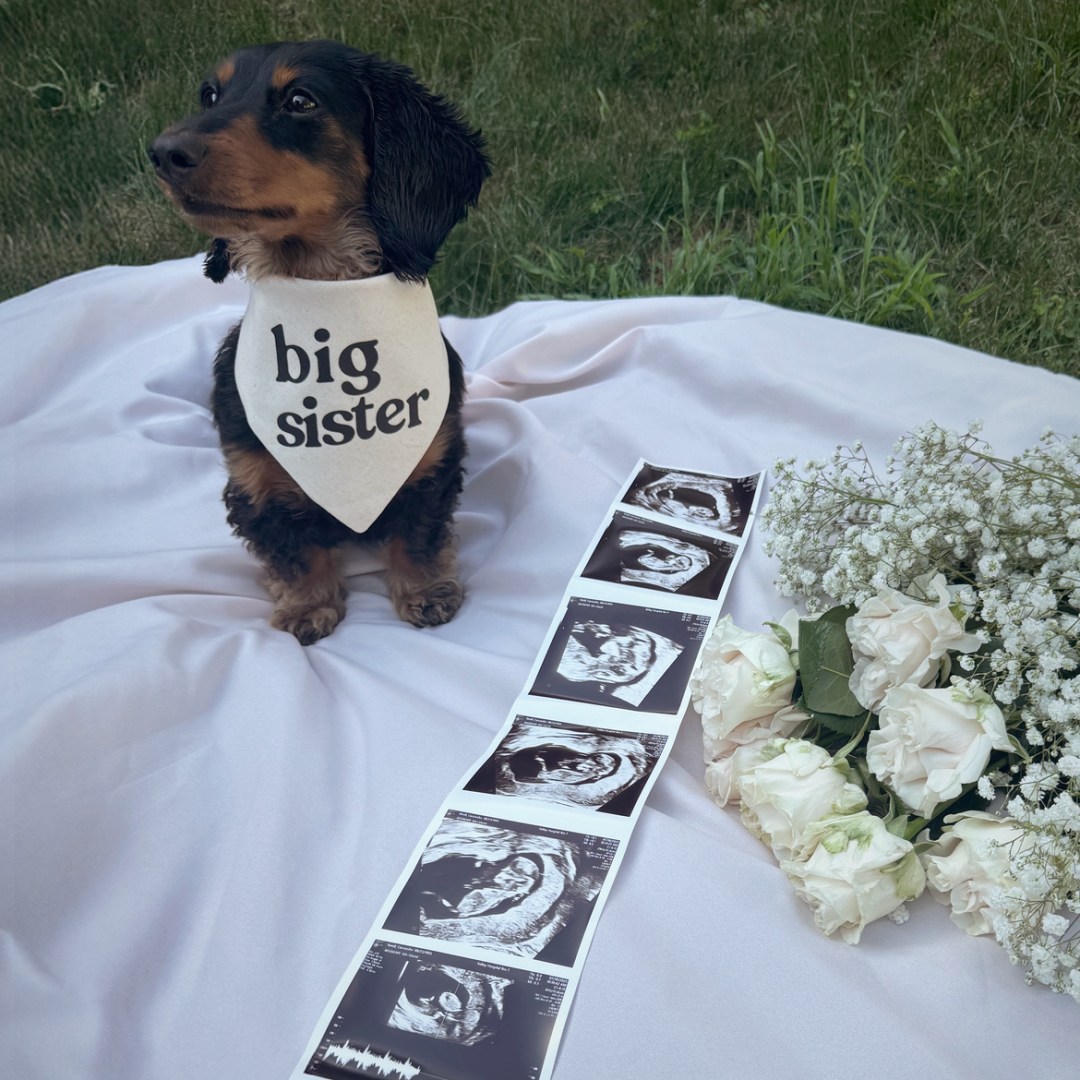 Photo shared by Cassandra for their Babylist baby registry.