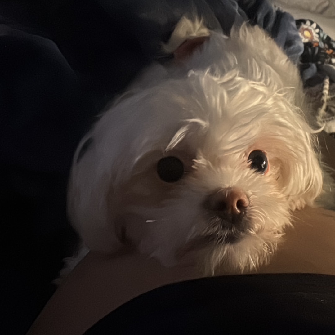 Photo shared by Jan Pauline for their Babylist baby registry.