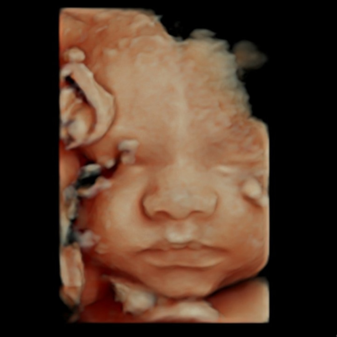 Photo shared by Aousharay for their Babylist baby registry.