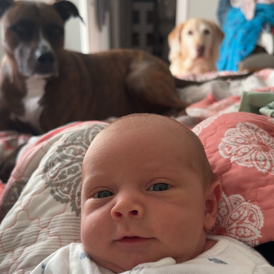 Photo shared by Alyson for their Babylist baby registry.