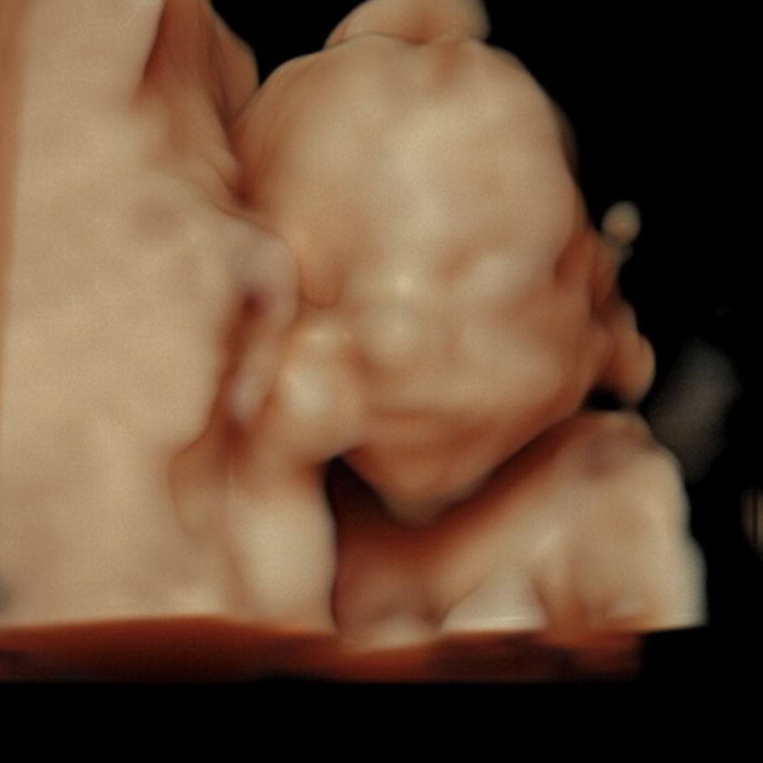 Photo shared by Delaney for their Babylist baby registry.