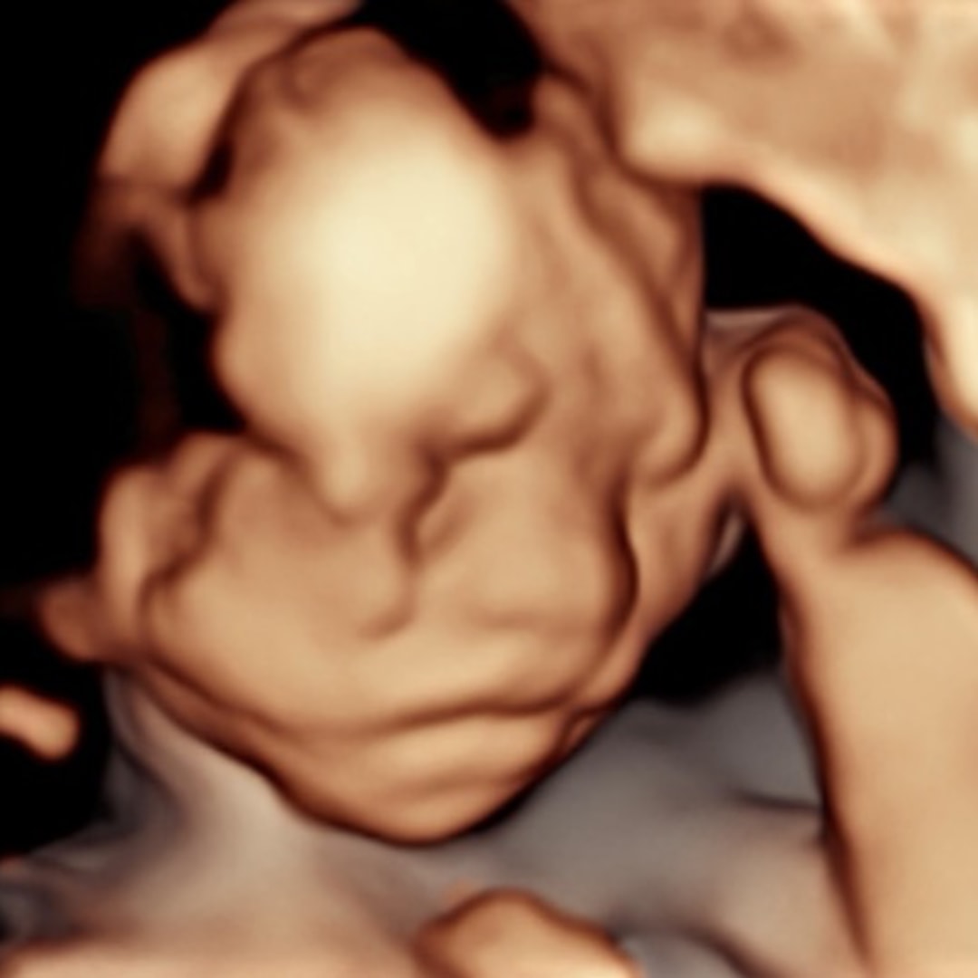 Photo shared by Fatima & Francisco for their Babylist baby registry.