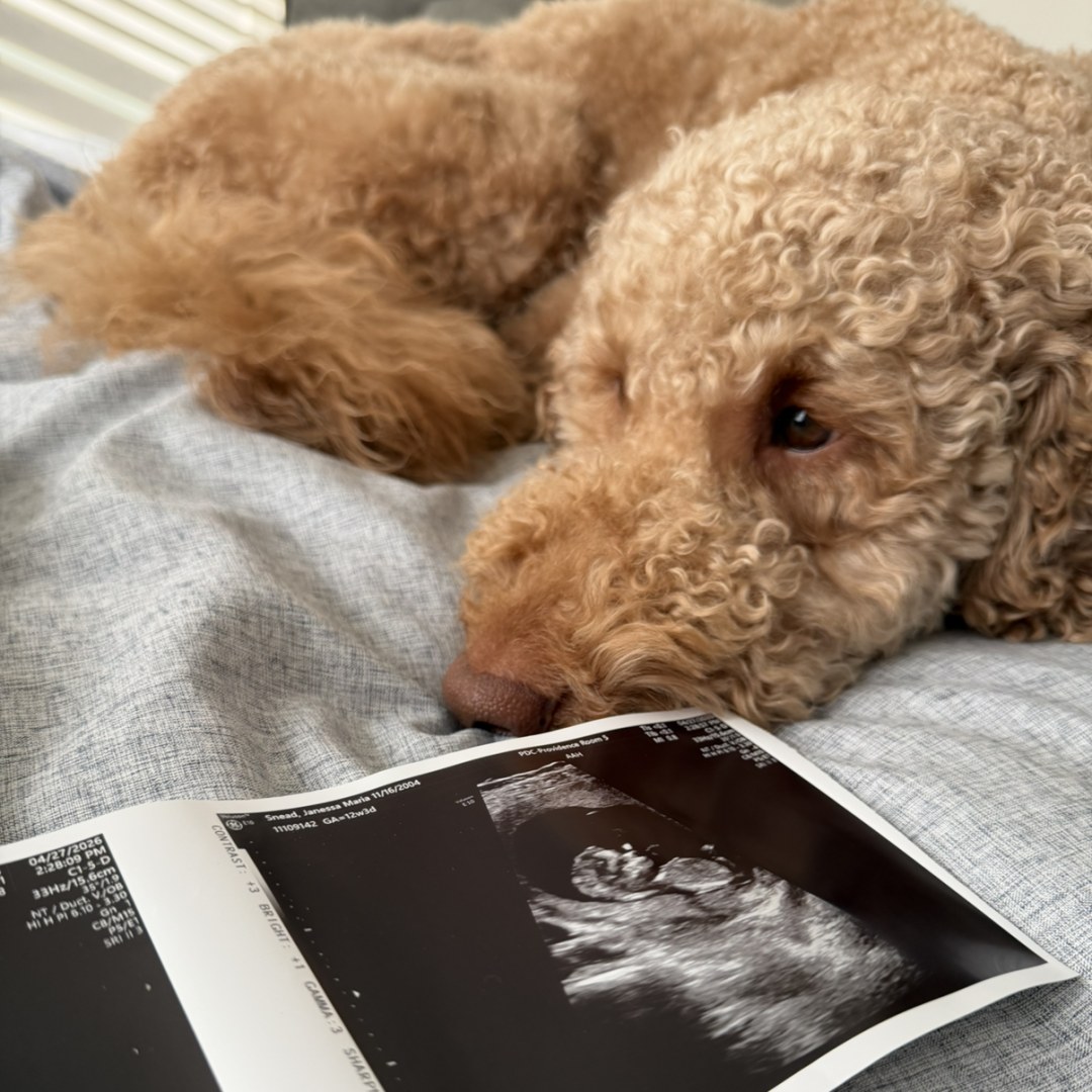 Photo shared by Janessa for their Babylist baby registry.
