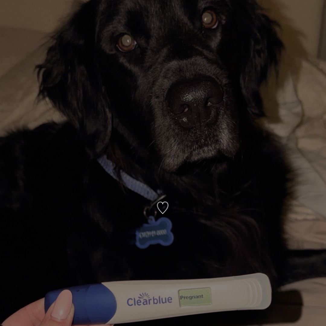 Photo shared by Emily for their Babylist baby registry.