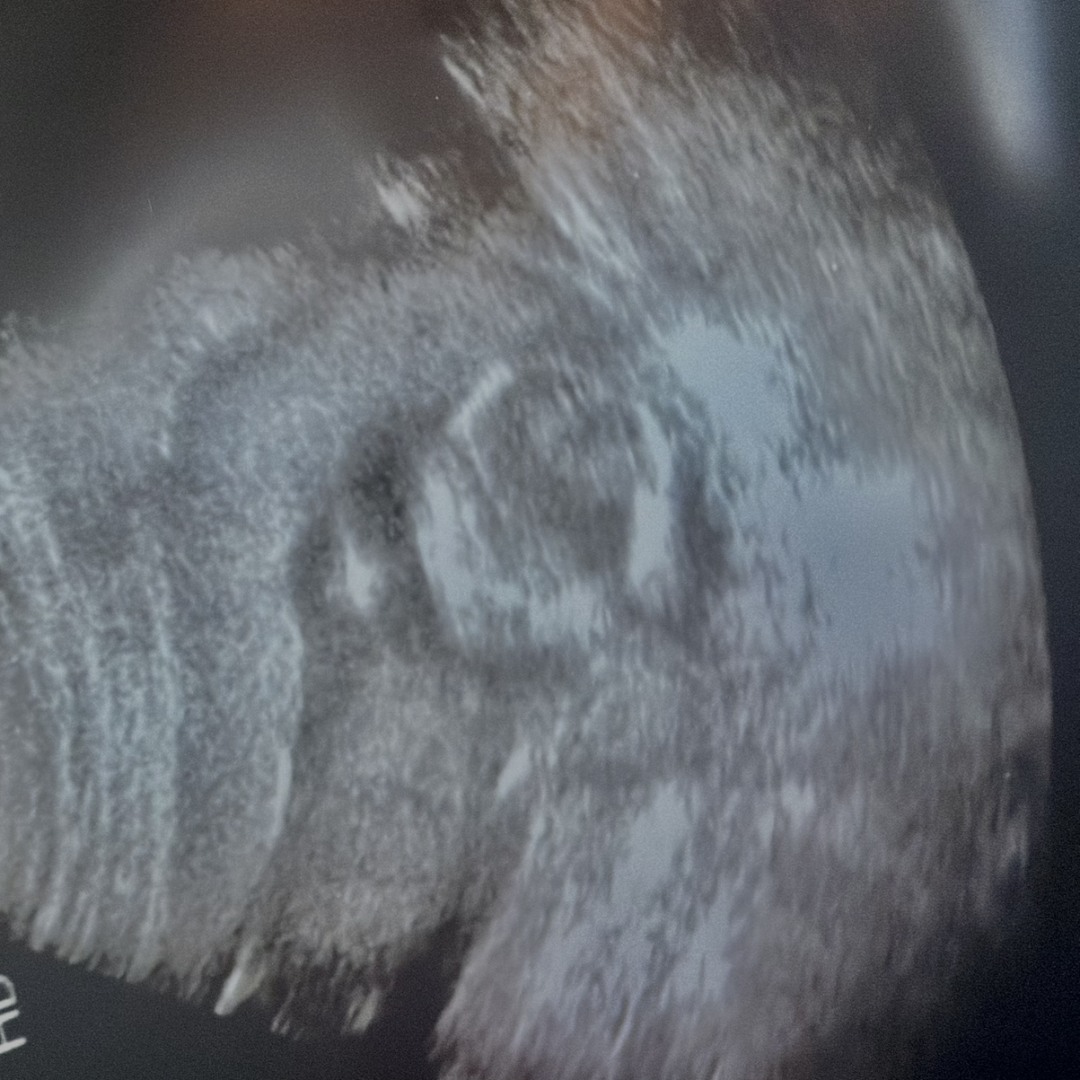 Photo shared by Briannah for their Babylist baby registry.