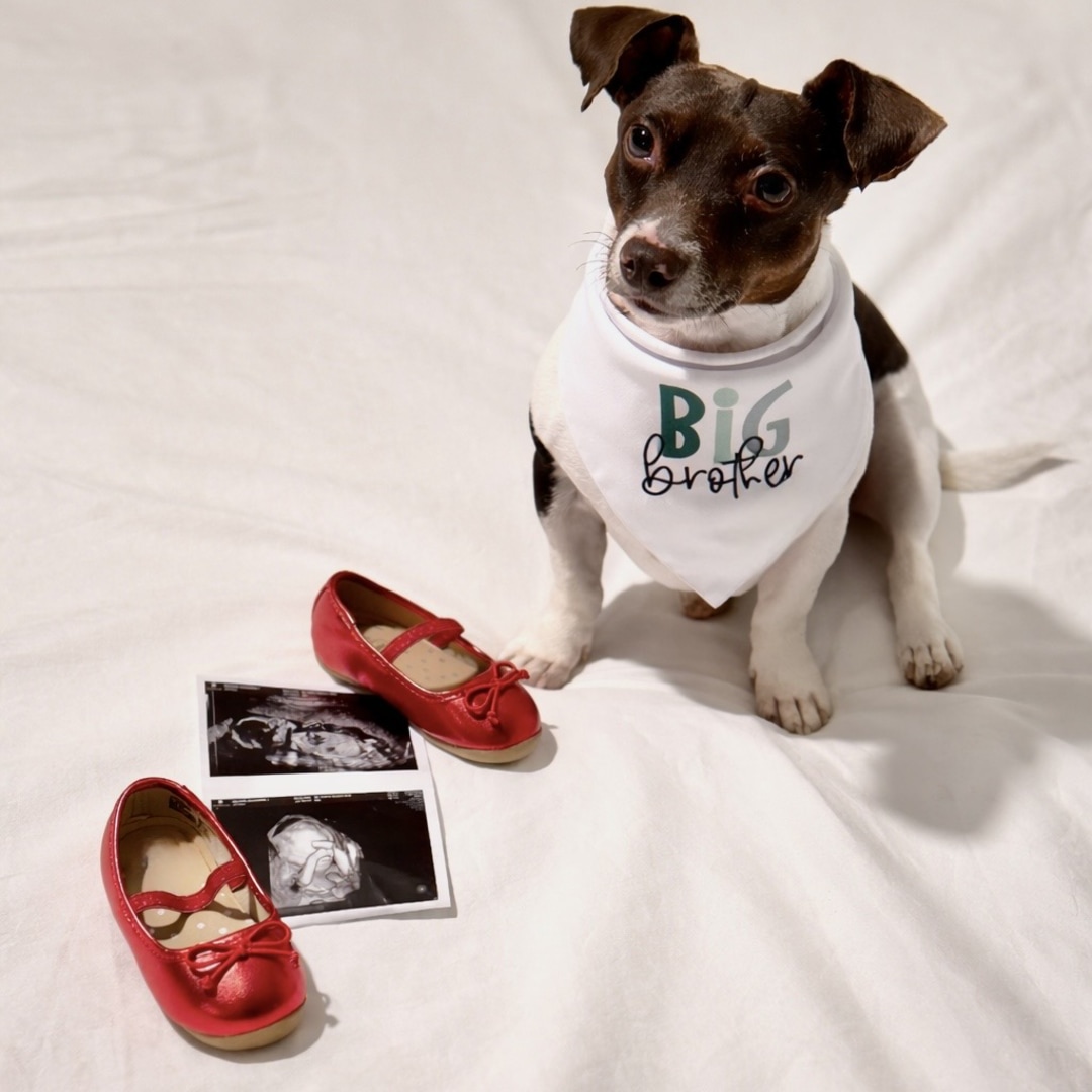 Photo shared by Cassandra for their Babylist baby registry.