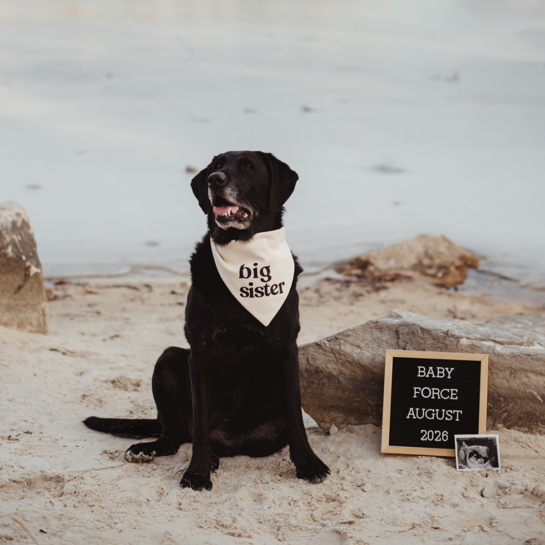 Photo shared by Deanne for their Babylist baby registry.