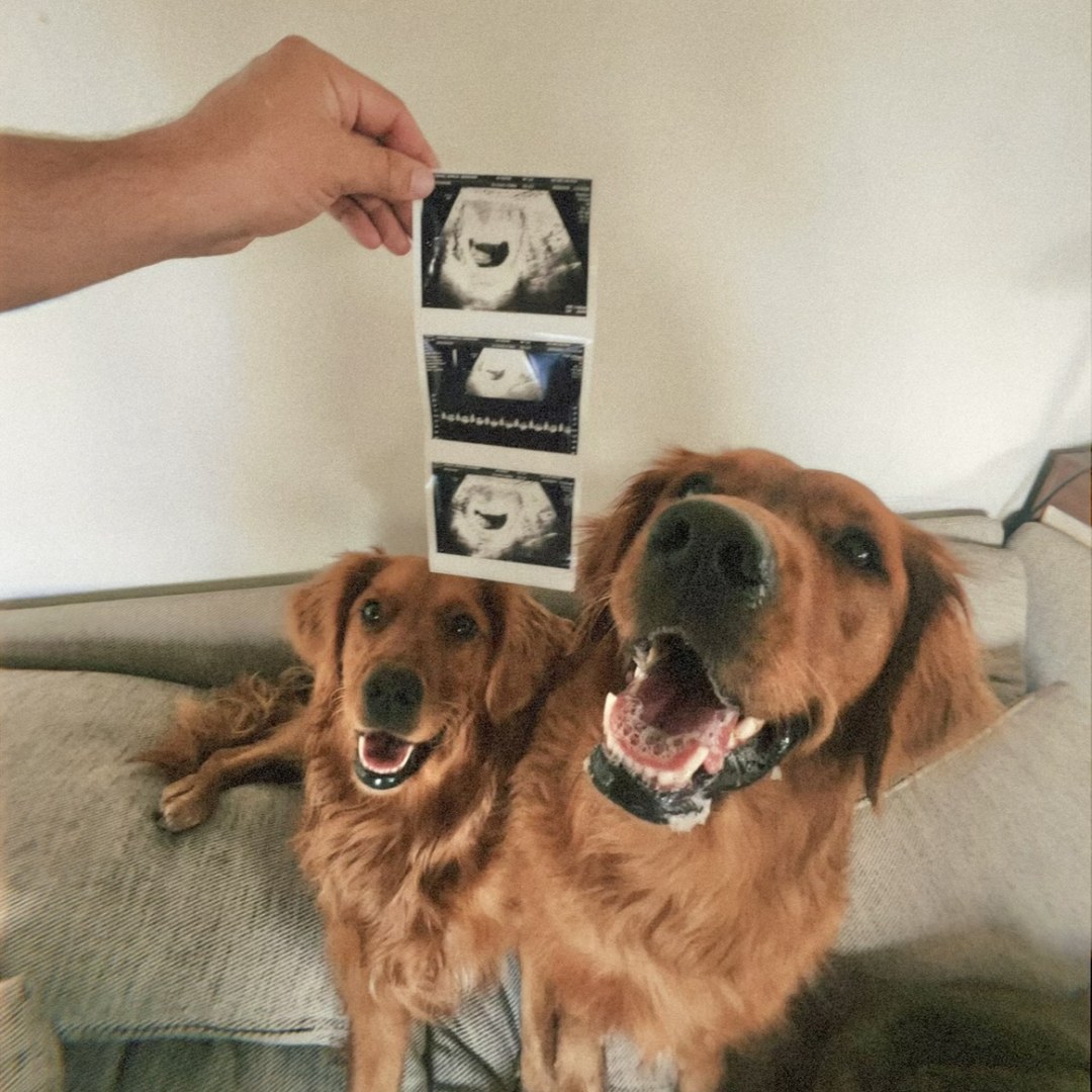 Photo shared by Shayla for their Babylist baby registry.